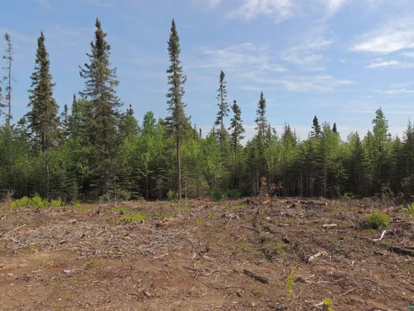 $154,900 | 3 X Skye Ridge, Grand Marais, MN 55604