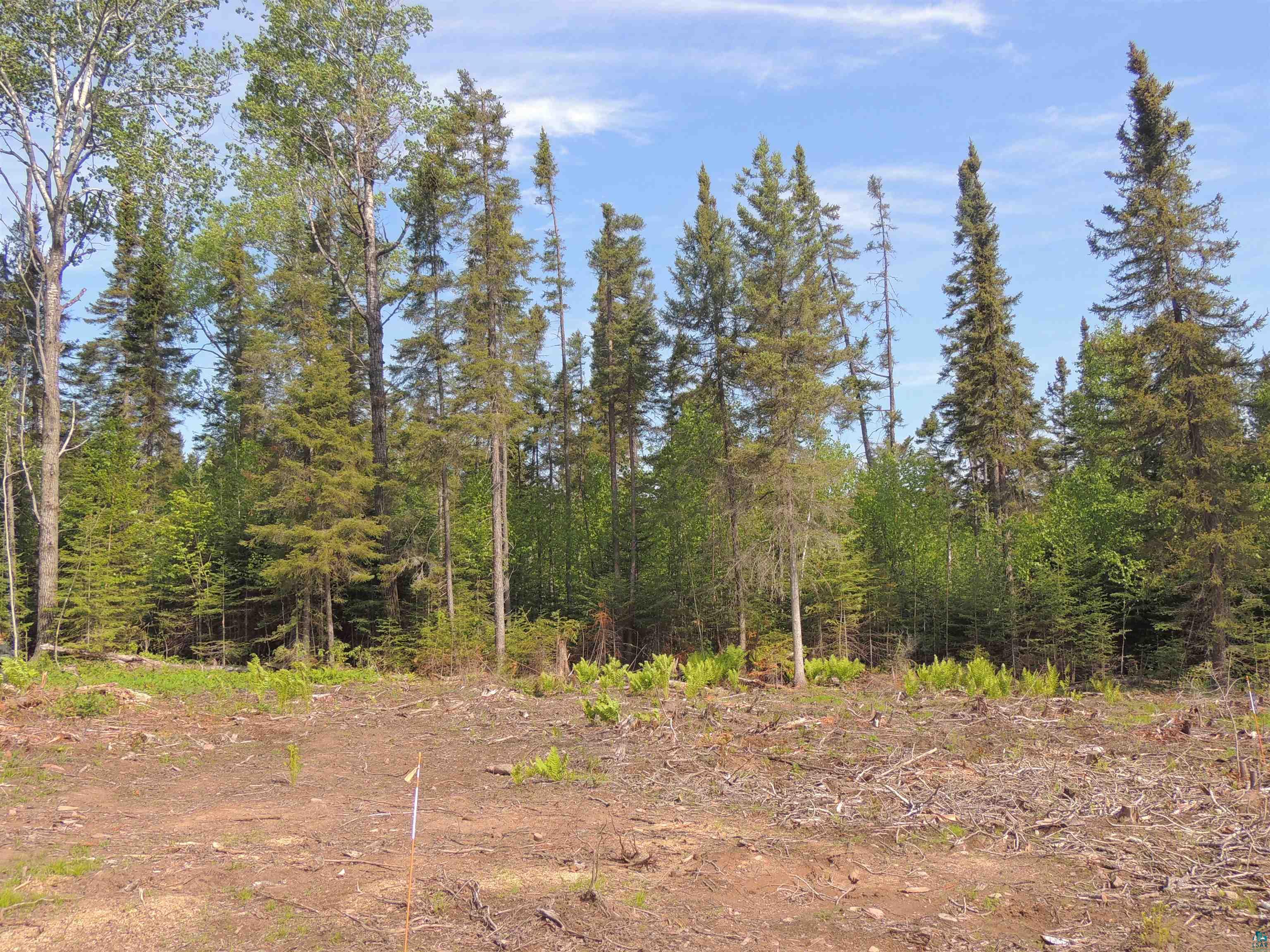 3 X Skye Ridge Grand Marais, MN 55604 - Photo 21 of 25