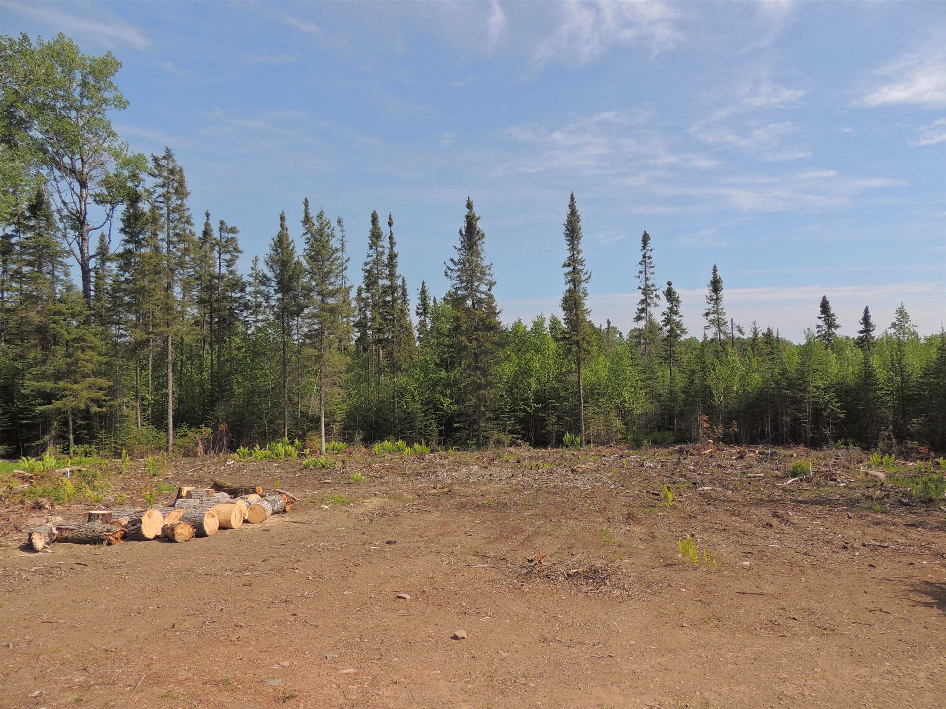 3 X Skye Ridge Grand Marais, MN 55604 - Photo 4 of 25