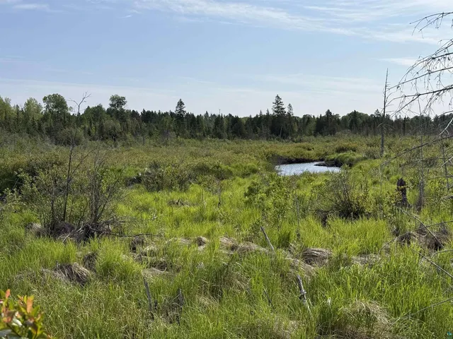 $154,900 | 3 X Skye Ridge, Grand Marais, MN 55604