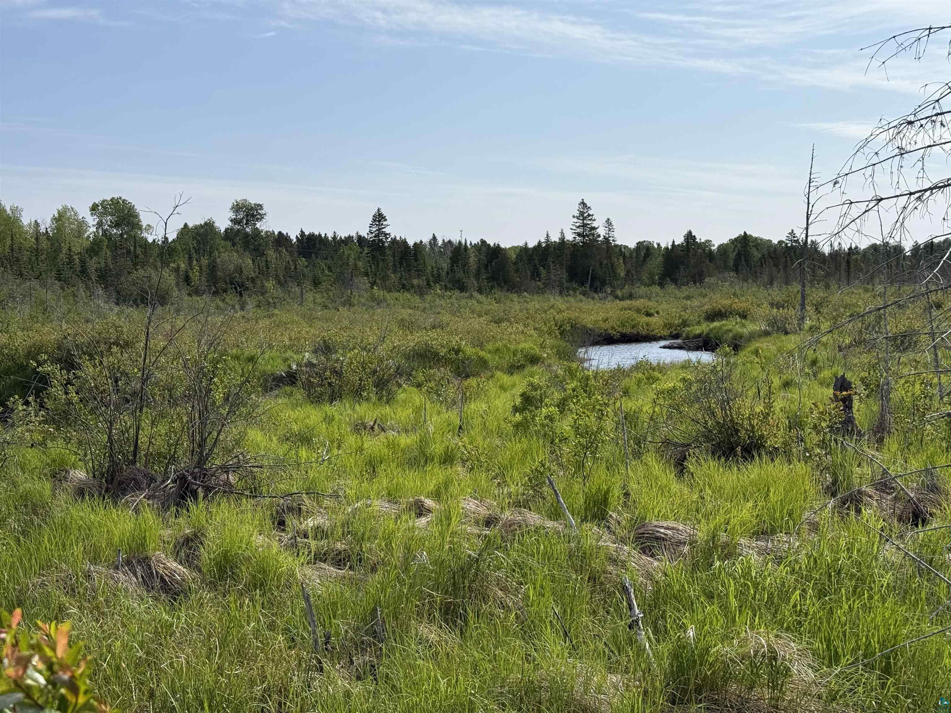 3 X Skye Ridge Grand Marais, MN 55604 - Photo 6 of 25