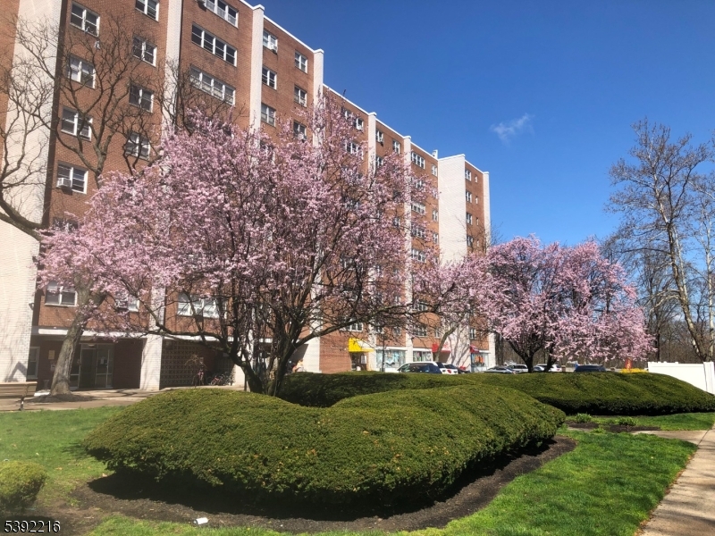 39 East 39th Street Paterson, NJ 07514 - Photo 1 of 15