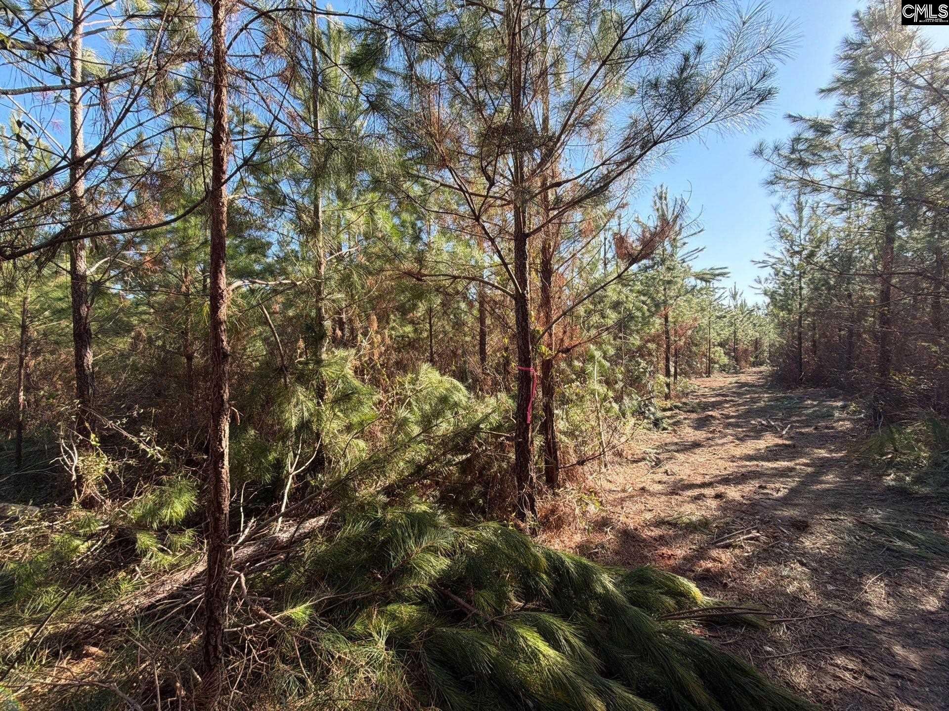 8 Brunson Teal Road, Unit BFF II 8 Patrick, SC 29584 - Photo 6 of 25