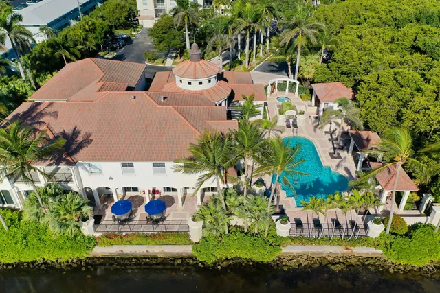 a picture of a tree with a garden