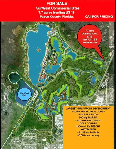 a view of a bunch of flowers in a tree