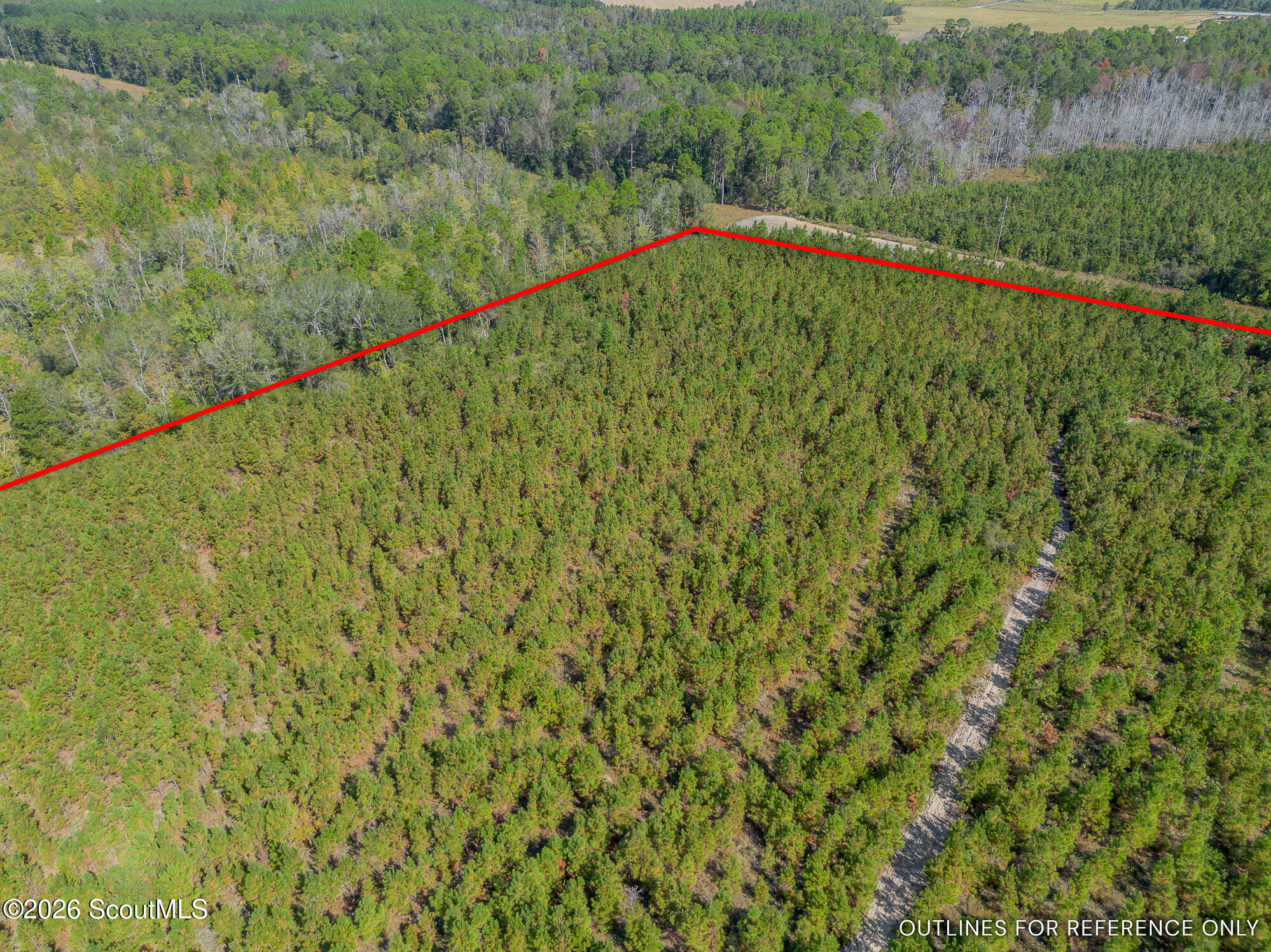 2 Kinnett Road Milan, GA 31060 - Photo 6 of 17 T2-38AC-6