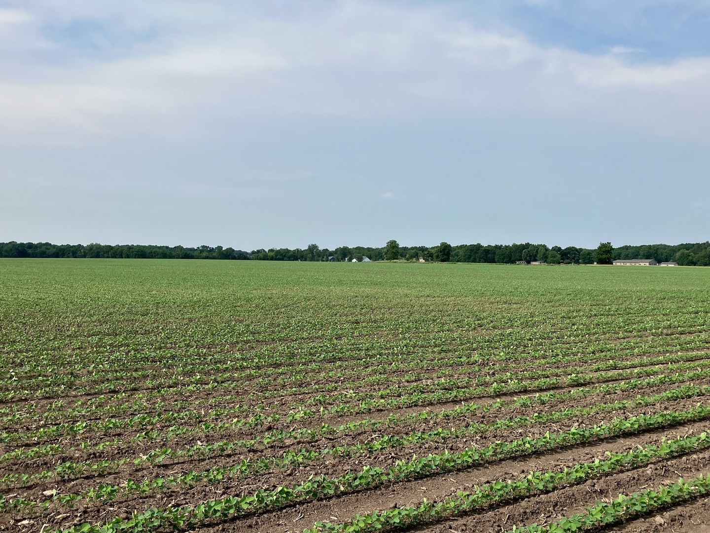 0 Center Road Rochelle, IL 61068 - Photo 21 of 32