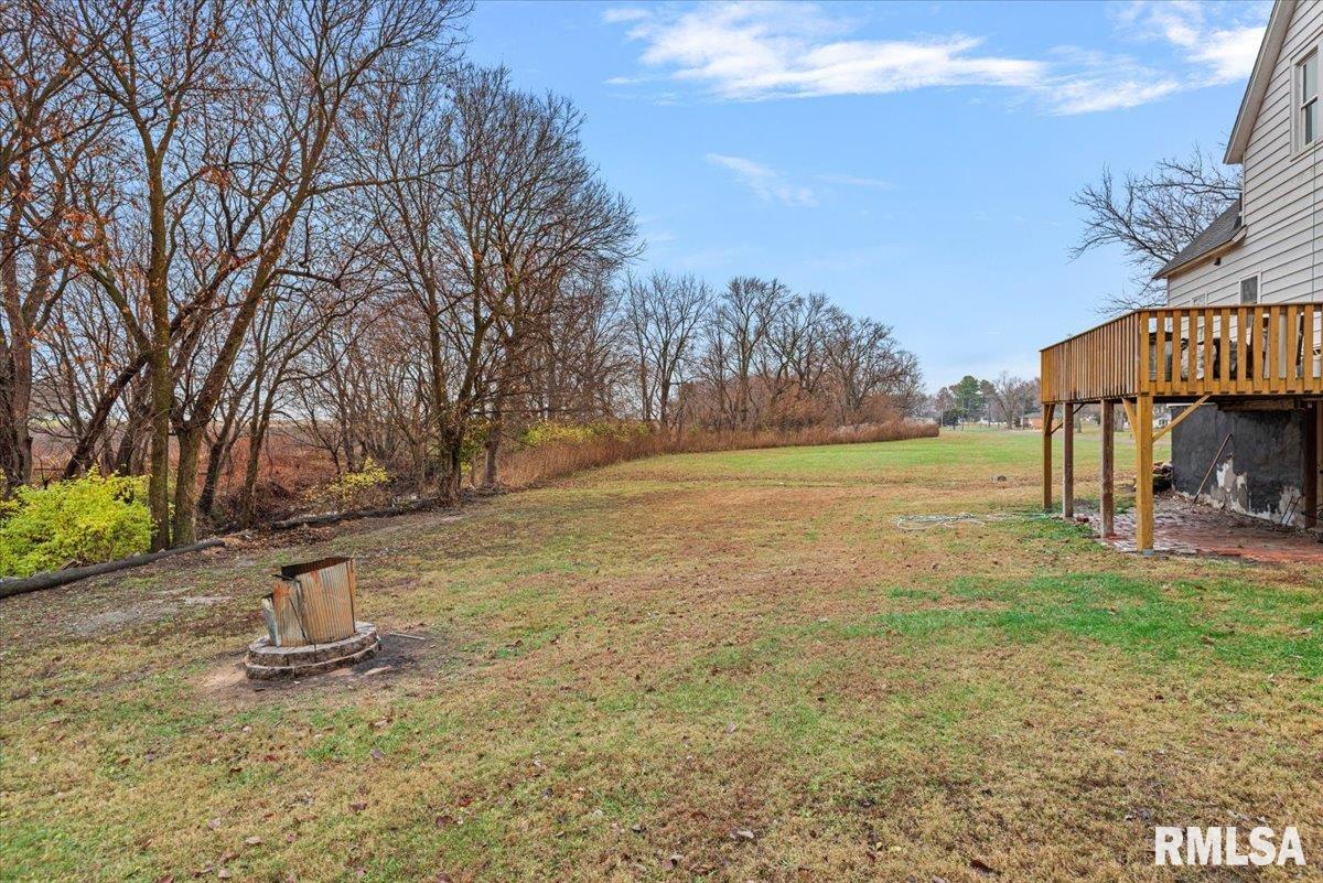 201 South 3rd Street Divernon, IL 62530 - Photo 45 of 53