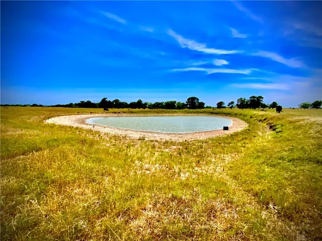 $110,825 | 10 A Cr, Marlin, TX 76661