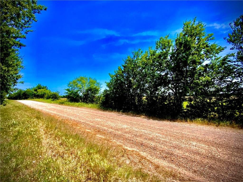 10 A Cr Marlin, TX 76661 - Photo 4 of 5