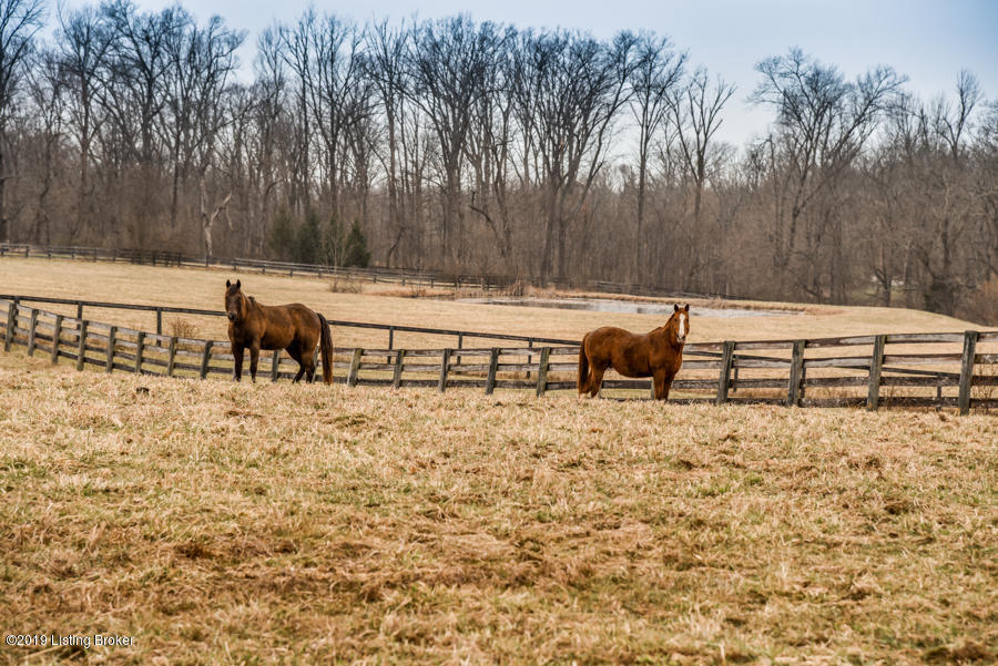 4262 Todds Point Road Simpsonville, KY 40067 - Photo 12 of 82 DSC_1344