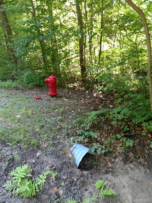 8296 Morrow Road Algonac, MI 48001 - Photo 4 of 7