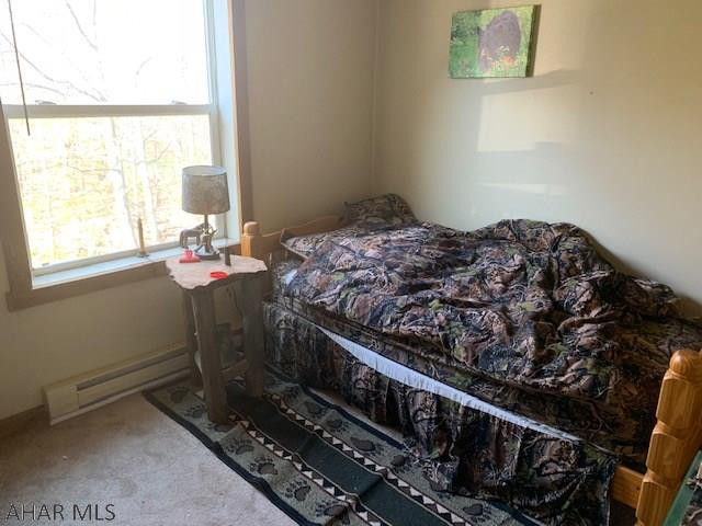 3300 Johnstown Road Duncansville, PA 16635 - Photo 11 of 16