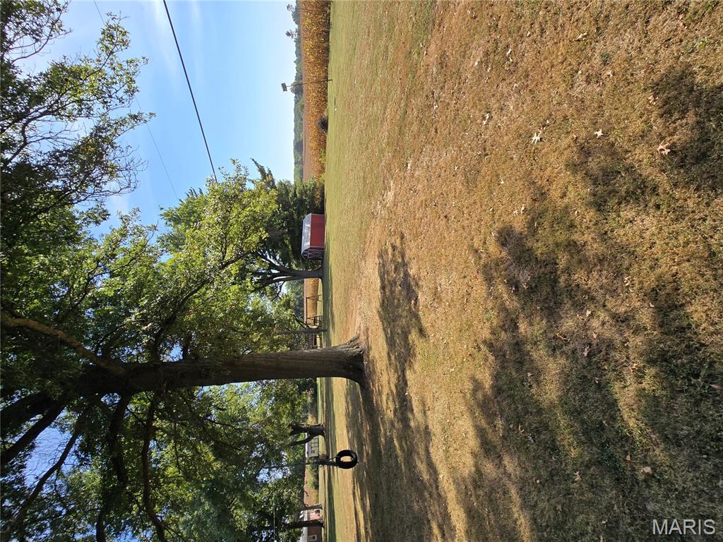 1011 Voorhees Lane Brighton, IL 62012 - Photo 21 of 24