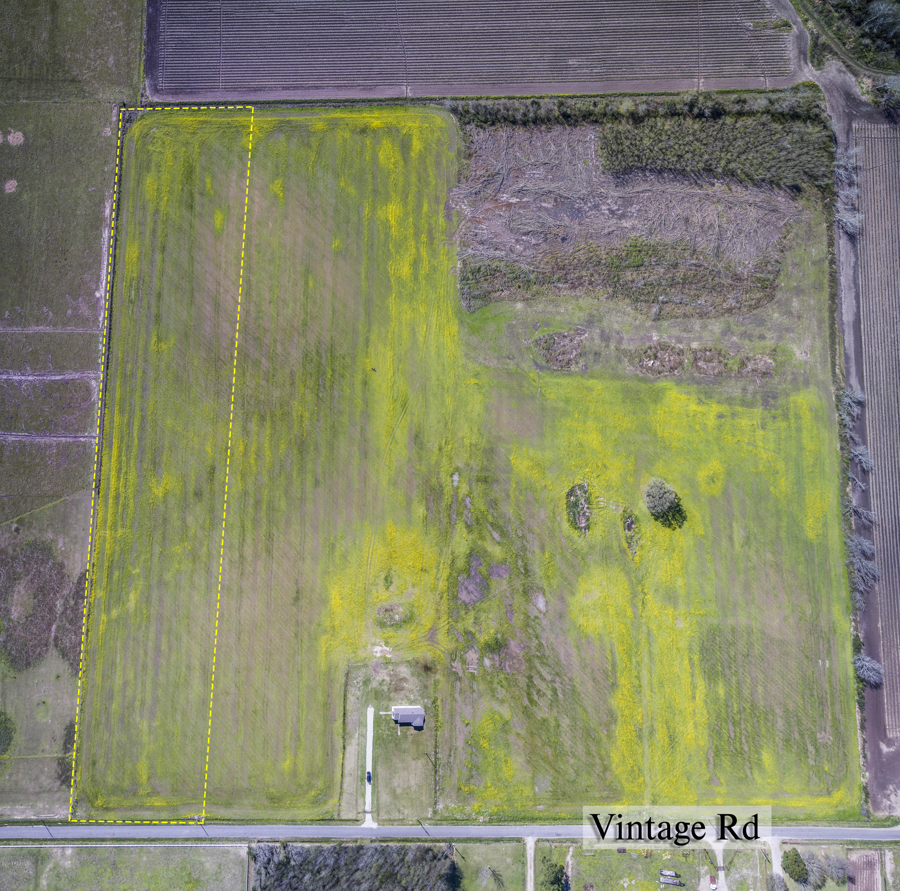 1 Vintage Road Church Point, LA 70525 - Photo 2 of 6 Gallery Image 2