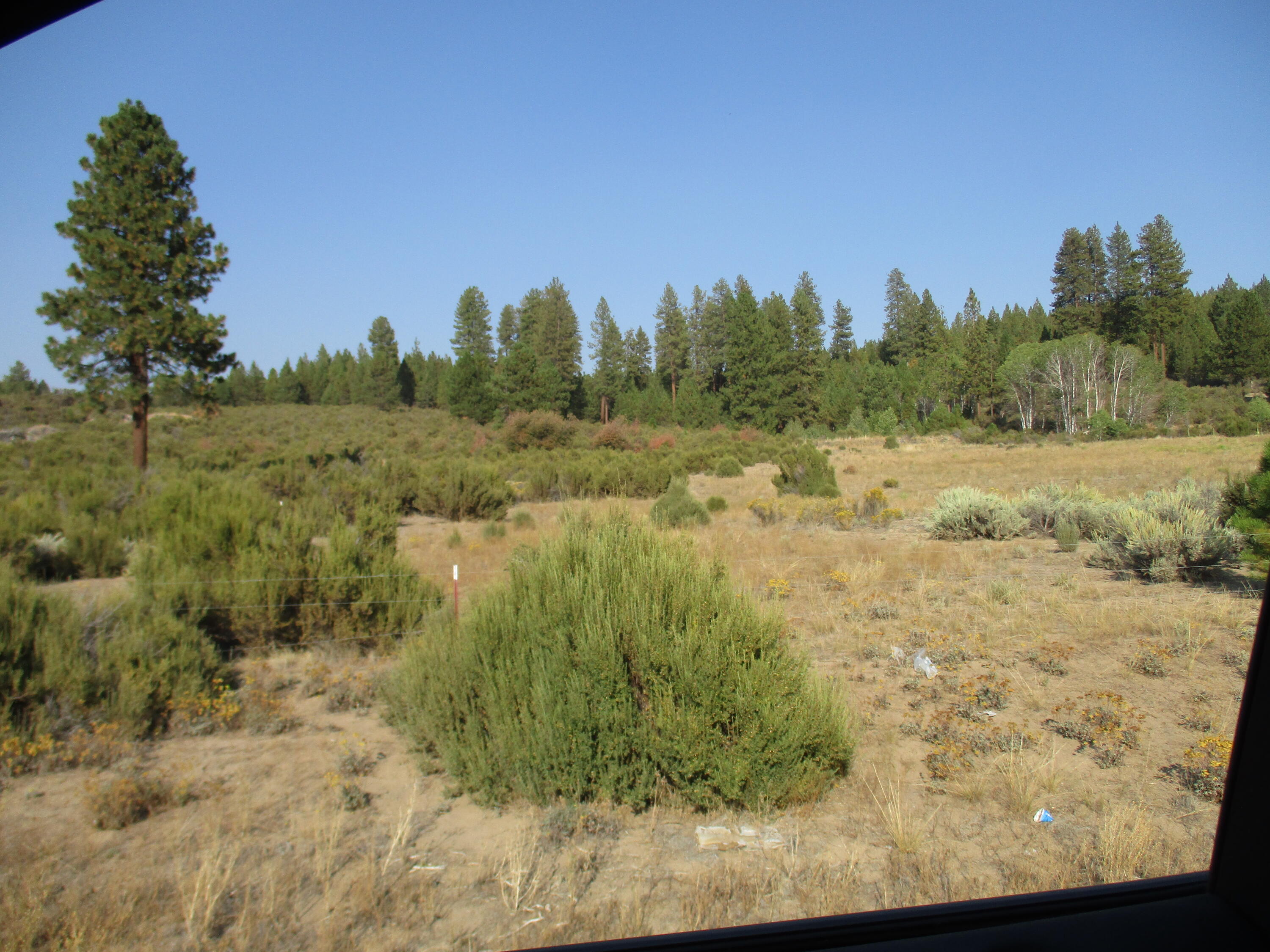 Pine Ridge Road Road, Unit 193686 Chiloquin, OR 97624 - Photo 4 of 7 IMG_0117