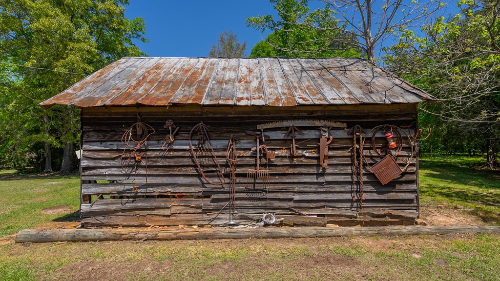 4414 Fortune Hole Road East Hamilton, GA 31811 - Photo 34 of 56