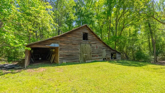 a view of a trees in a yard