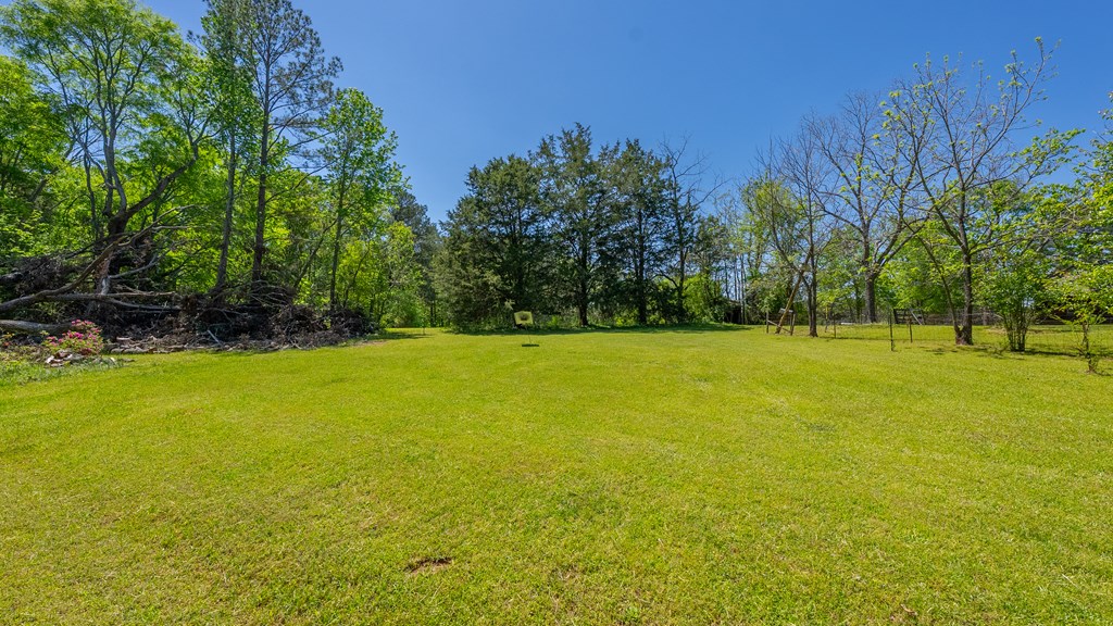 4414 Fortune Hole Road East Hamilton, GA 31811 - Photo 38 of 56