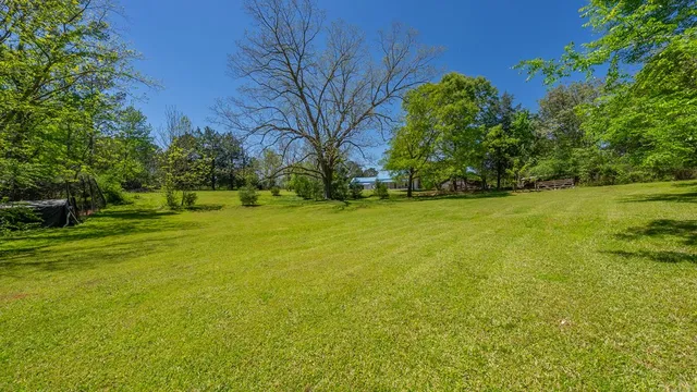 a view of yard with large trees and plants
