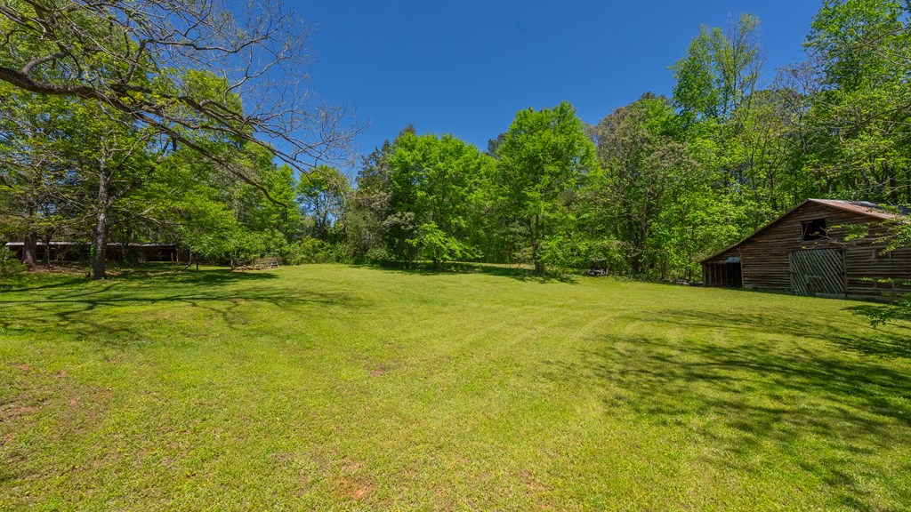 4414 Fortune Hole Road East Hamilton, GA 31811 - Photo 40 of 56