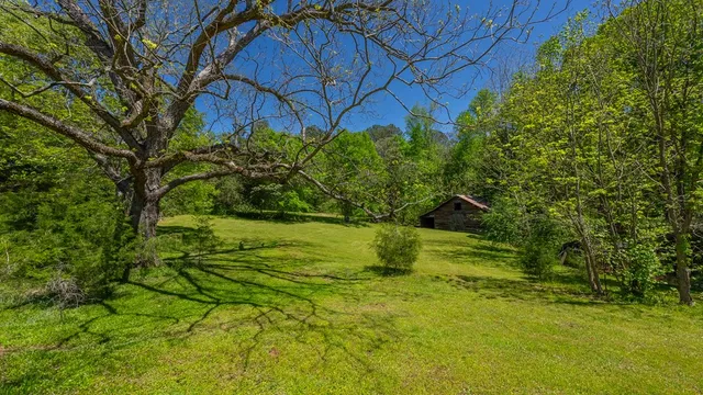 a backyard of a house with lots of green space
