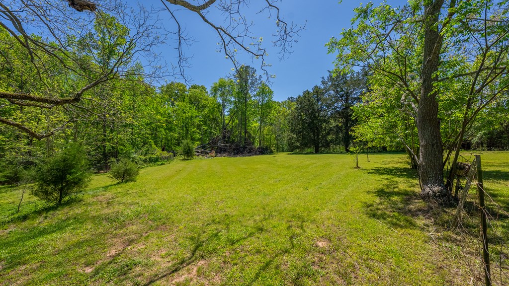 4414 Fortune Hole Road East Hamilton, GA 31811 - Photo 42 of 56