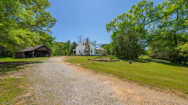 a view of a yard with plants and large trees