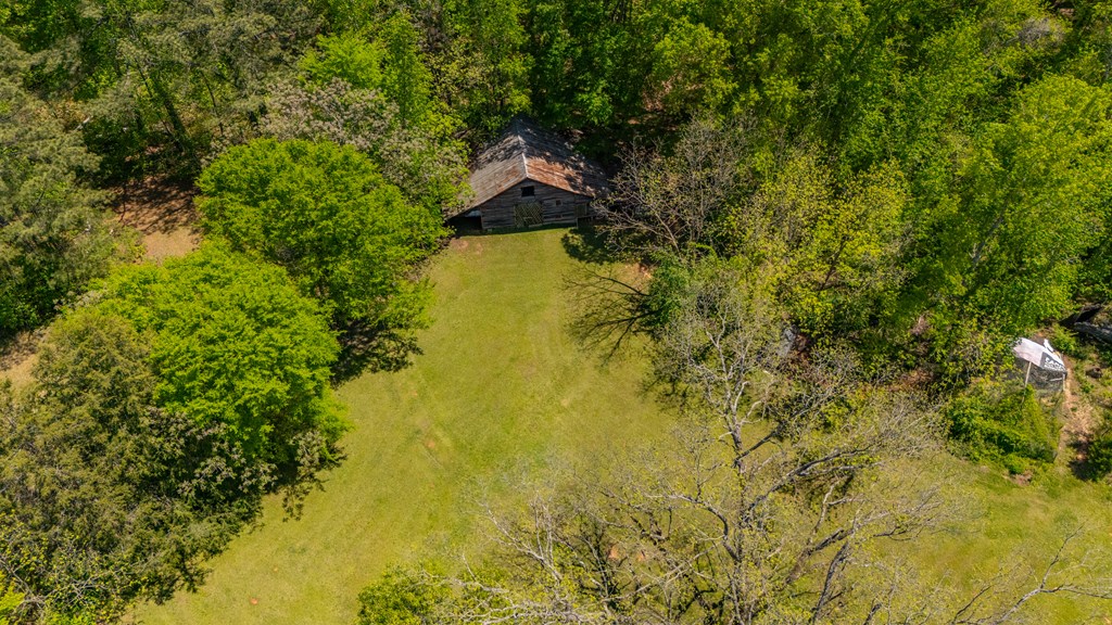 4414 Fortune Hole Road East Hamilton, GA 31811 - Photo 50 of 56