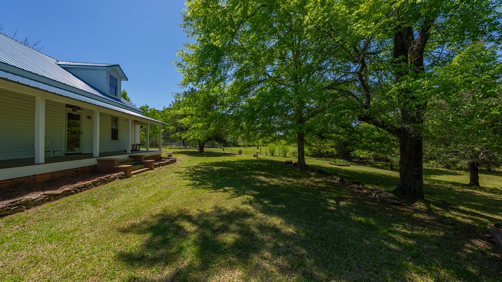 4414 Fortune Hole Road East Hamilton, GA 31811 - Photo 5 of 56