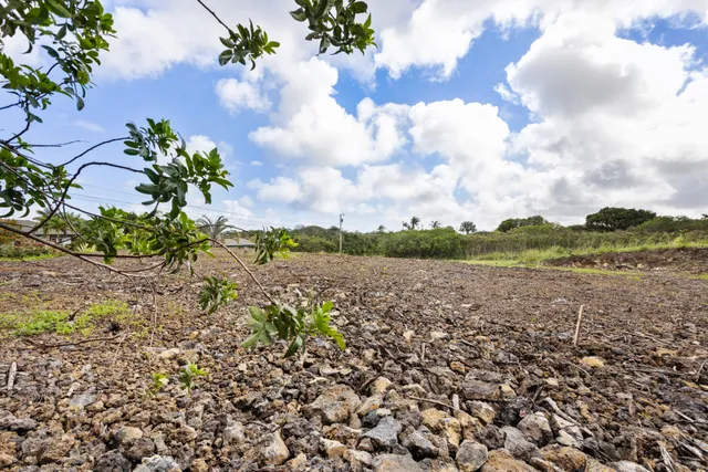 a view of a lake with a city