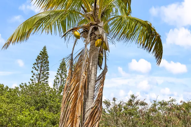 a view of a lake with a big yard