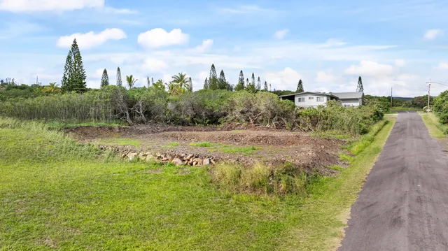 a view of lake with houses