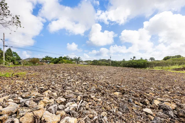 a view of an outdoor space and a yard