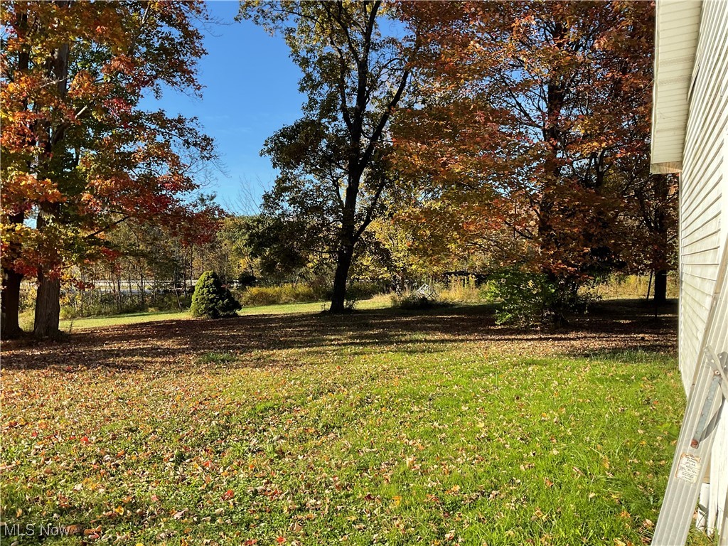 5933 Bishop Road Geneva, OH 44041 - Photo 4 of 5 View of green lawn