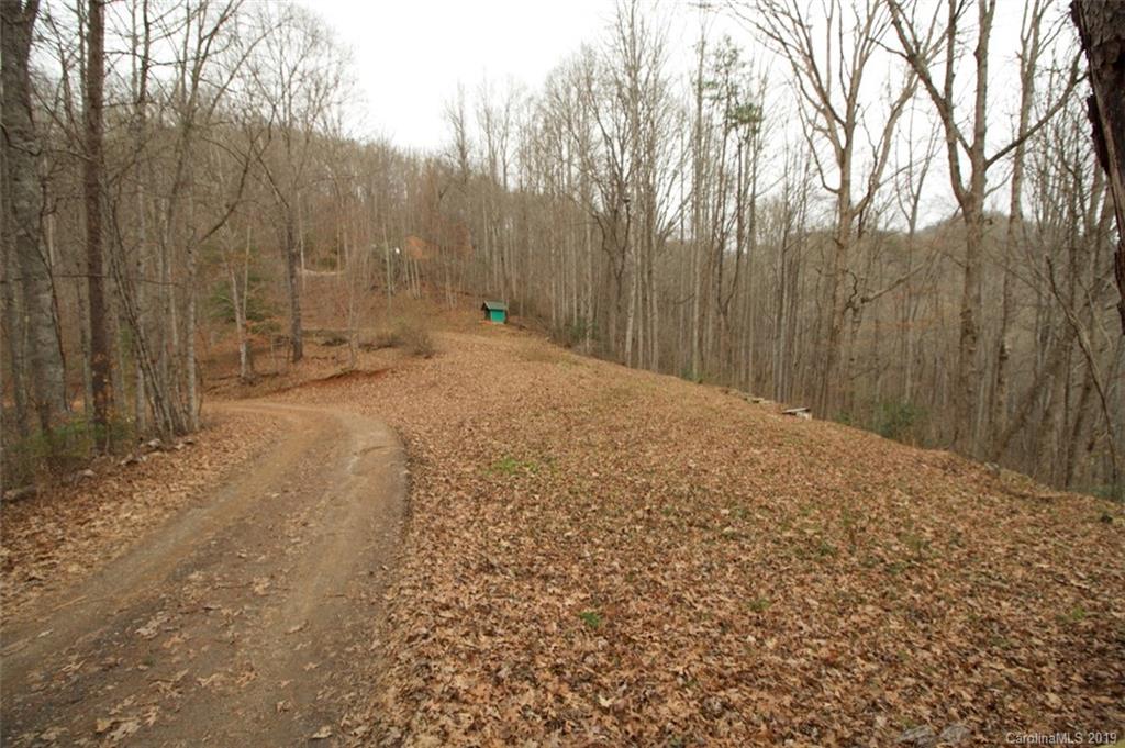199 Dogleg Road Whittier, NC 28789 - Photo 12 of 20 Gallery Image 12
