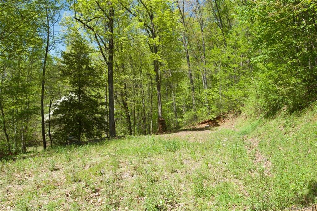 199 Dogleg Road Whittier, NC 28789 - Photo 14 of 20 Gallery Image 14