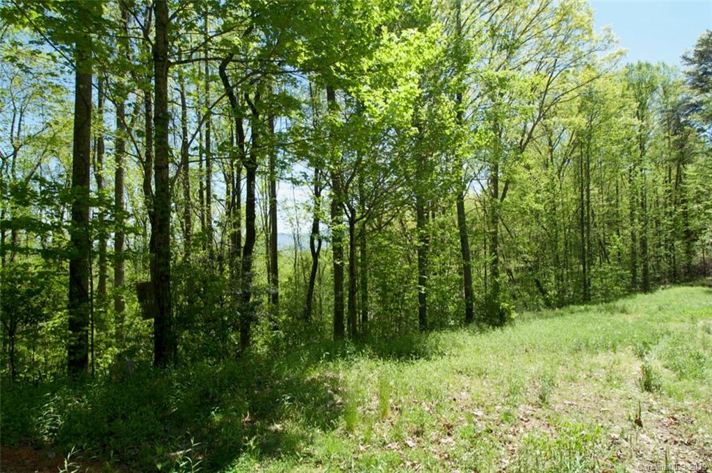 199 Dogleg Road Whittier, NC 28789 - Photo 17 of 20 Gallery Image 17
