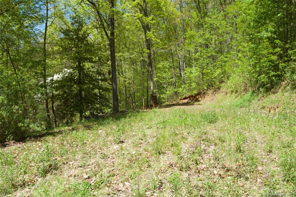 199 Dogleg Road Whittier, NC 28789 - Photo 18 of 20 Gallery Image 18