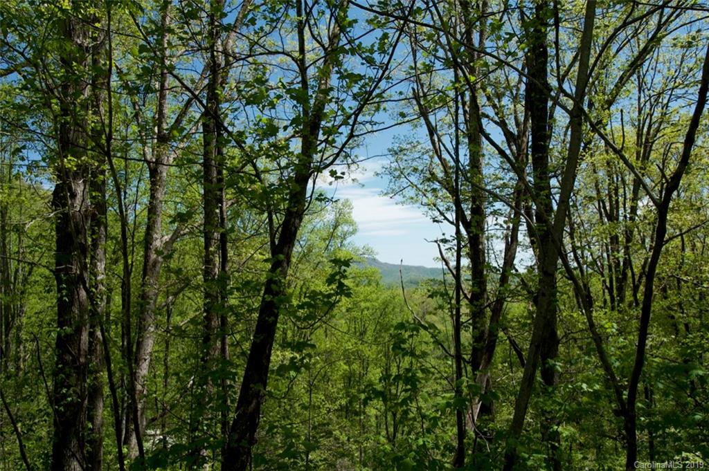 199 Dogleg Road Whittier, NC 28789 - Photo 9 of 20 Gallery Image 9