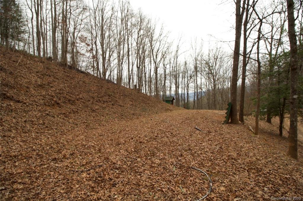 199 Dogleg Road Whittier, NC 28789 - Photo 10 of 20 Gallery Image 10