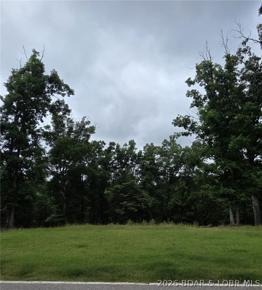 Lot 100 Terry Rd Lake Lake Ozark, MO 65049 - Photo 6 of 16