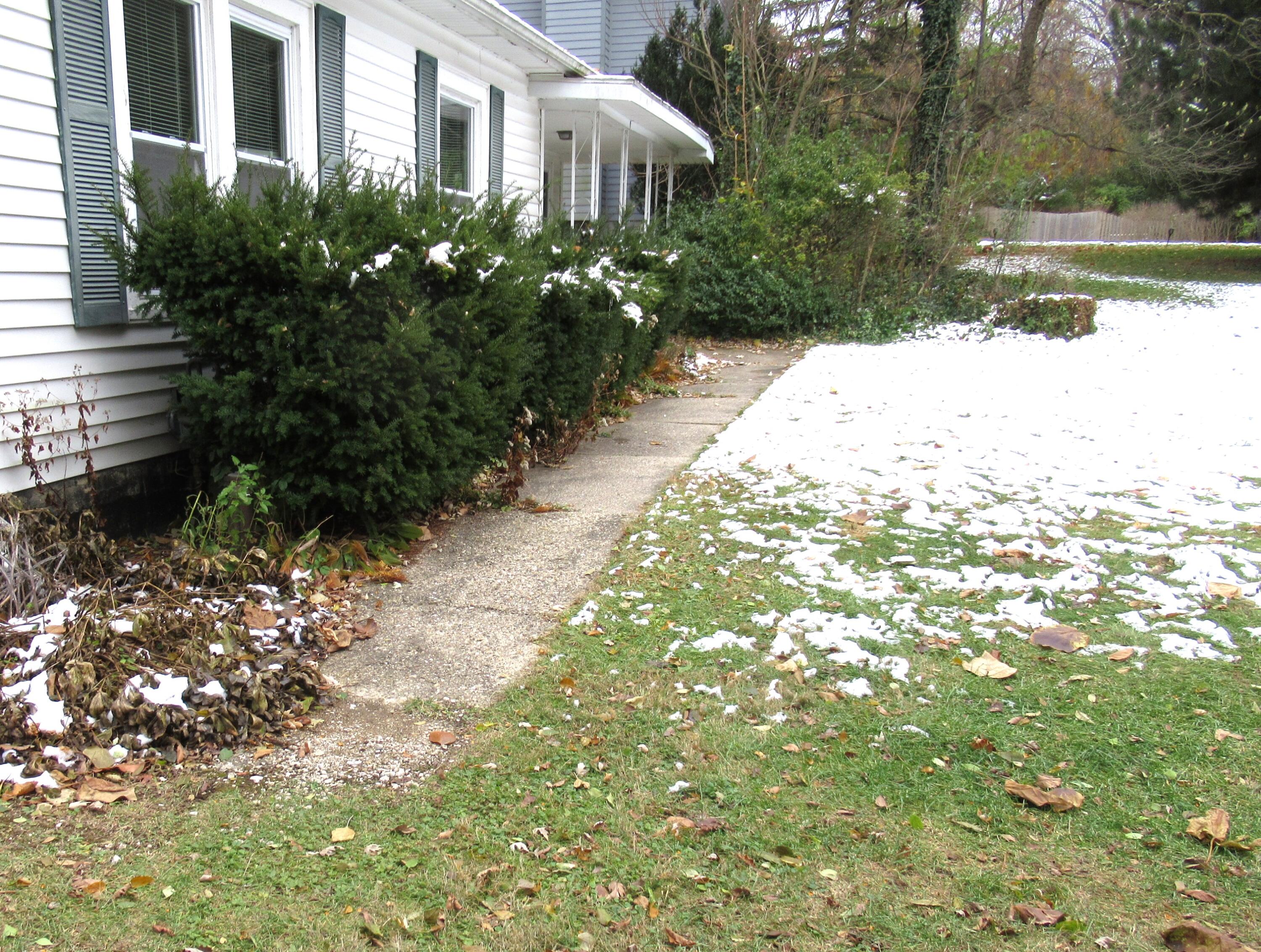 3 Shipman Circle Ann Arbor, MI 48104 - Photo 28 of 30 IMG_6854 - Copy