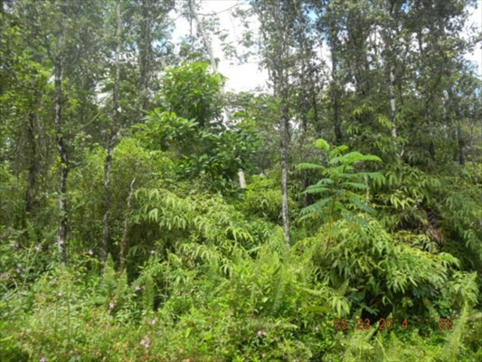 142 Hapuu Road Pahoa, HI 96778 - Photo 1 of 6 Gallery Image 1