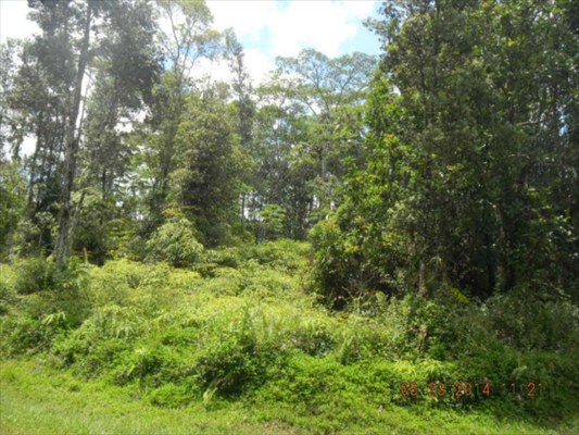 142 Hapuu Road Pahoa, HI 96778 - Photo 3 of 6 Gallery Image 3