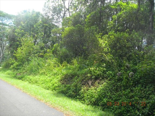 142 Hapuu Road Pahoa, HI 96778 - Photo 5 of 6 Gallery Image 5