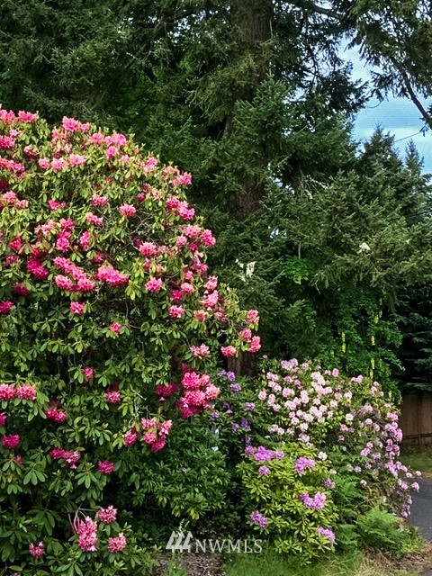 8316 Olympic View Drive Edmonds, WA 98026 - Photo 36 of 38 a picture of flowers