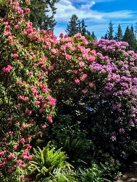 8316 Olympic View Drive Edmonds, WA 98026 - Photo 37 of 38