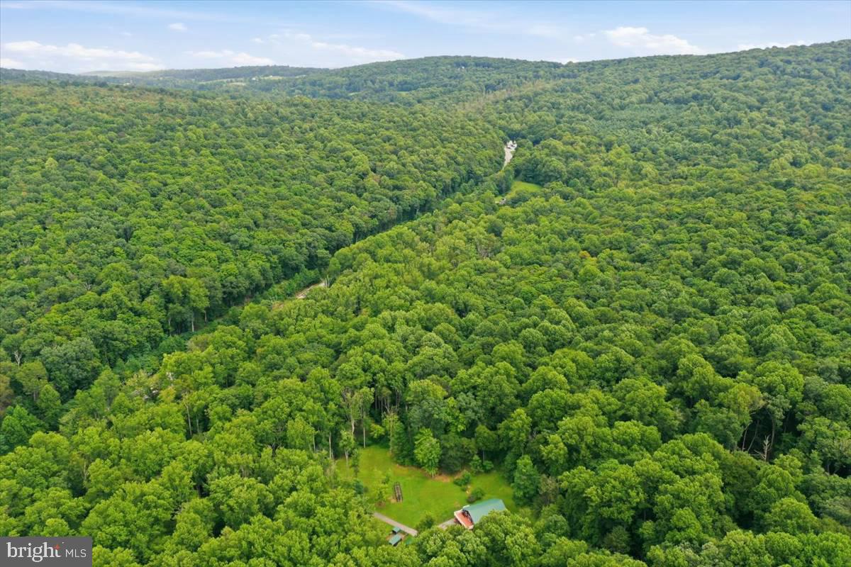 24105 Raven Rock Road Smithsburg, MD 21783 - Photo 45 of 51 Lush green hills embrace a winding road.