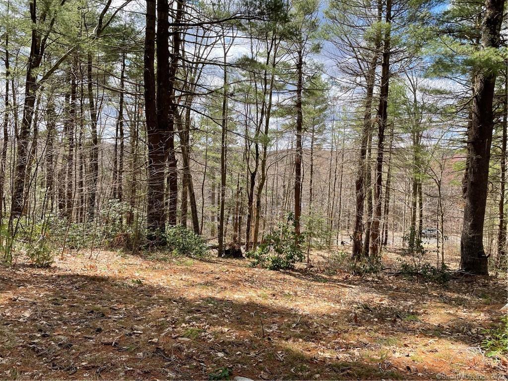 26 Pine Road Colebrook, CT 06021 - Photo 1 of 1 a view of house with a street